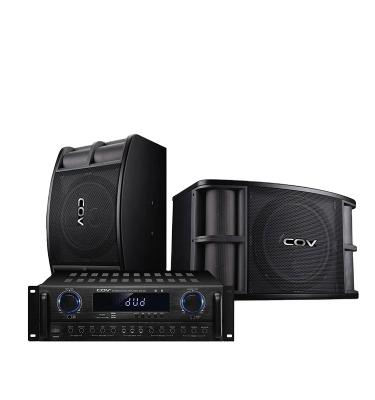 China VOC Hot Sale Wireless Subwoofer Amplifier Fixed Karaoke Speaker 10inch Canton Factory Price for sale