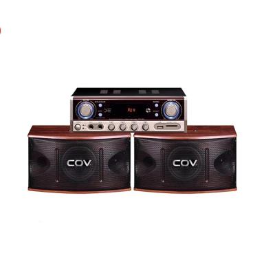 China Telephone Function Karaoke Speaker 500w PA Speaker System CV-255 VOC Canton Factory for sale