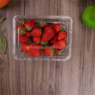 China Customized fruit strawberry plastic container plastic fruit container iso9001 certified for sale