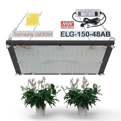 China Seed Starting Top Selling Quantum V3 LM301H 660NM IR ELG MW Driver 120W Super Bright UV Panel LED To Grow Light For Greenhouse Veg Lettuce Plant for sale