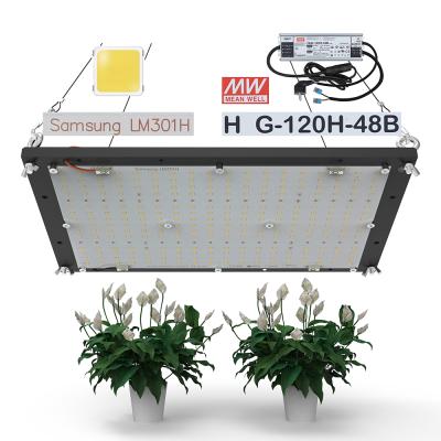 China Seed Starting 2021 Hot Sale LM301H Q288 LED Panel 3000K 3500K 4000K 660nm UV IR MW DIM 120W LED Full Spectrum For Growing Light for sale