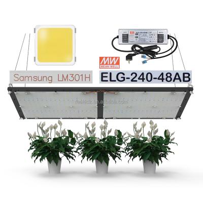 China Seed Starting 2022 Newest Quantum LM301H UV Driver 240W 3000/3500K/4000k IR ELG Led Grow Light For Hydroponic Homemade Indoor Plants for sale