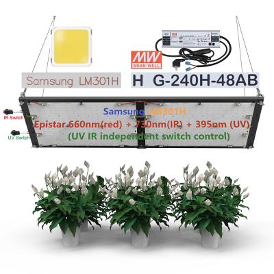 China Seed Starting 240W Dimmable Driver Q272 V4 LM301H LED Panel 3000K 3500K Mix 660nm To Grow Light For Horticulture for sale