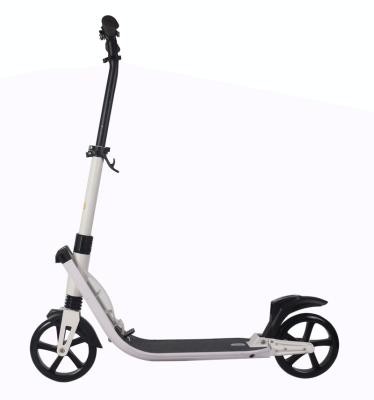 China PU Supplier China Folding Suspension Big Wheel Mobility Scooter for sale