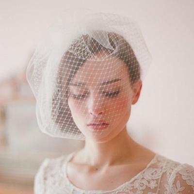 China Gorgeous Personalized Lace Edge Fashion Headpiece Wedding Dress Accessories Lace Beaded Trimming Birdcage Bridal Veil for sale