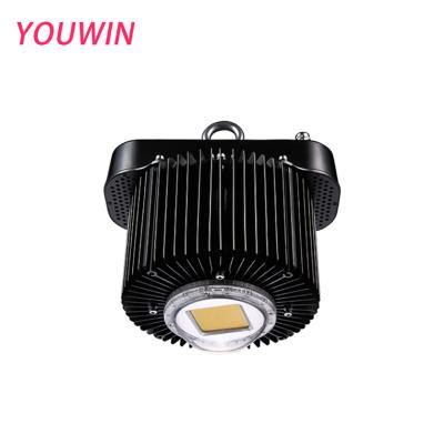 China Saudi Arabia high quality high power meanwell indoor light driver led high bay light products for sale