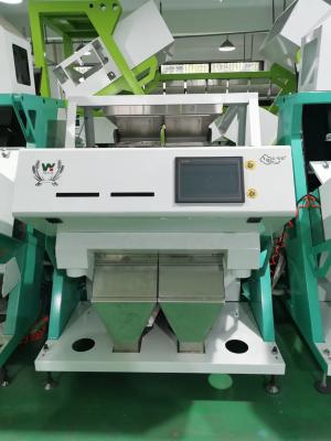 China Optical Pumpkin Seeds Color Sorter  Pumpkin Seeds Sorting Machine Color Selector for sale