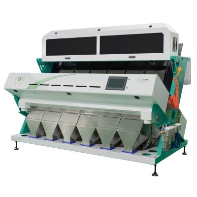 China Buckwheat Grain Optical Colour Sorter Coffee Cleaning Color Sorter Machine Grading Color Sorter Separating For Wheat Barley Corn for sale