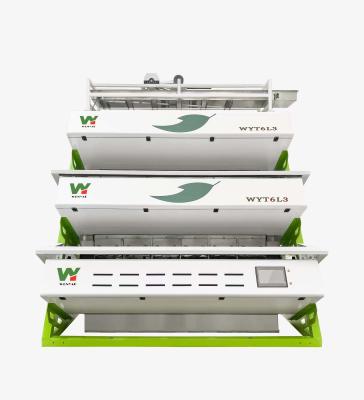 China Wenyao CCD Tea Grading Machine For Black Tea  Green Tea Color Sorting Machinery Removing Tea Leaf Branch Impurity for sale