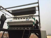 China 7 de Kleurensorteerder 448 van het hellingenboekweit Sorteermachine van de Kanalen de Automatische Kleur Te koop