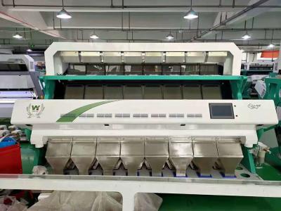 China Productie van de de Kleurensorteerder 3t/h van kardemombonen de Multifunctionele Te koop