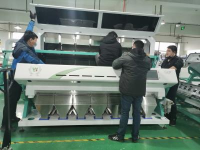 China WENYAO Sunflower Seed Color Sorter, 7T/h-de Installatiemachines van de Zaadverwerking Te koop