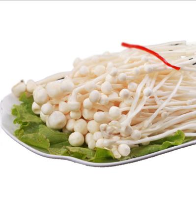 China Fresh Fresh 100g Needle Sprinkles Enoki Golden Mushroom for sale