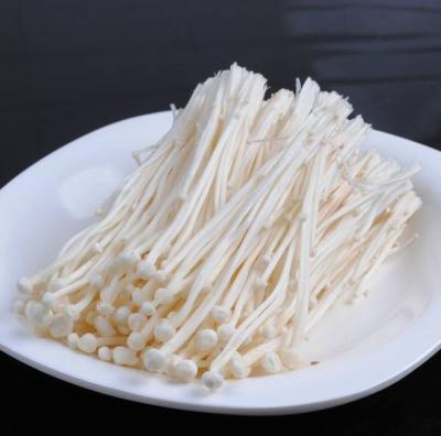 China 2019 China Fresh HOT Sale Healthy Delicious Enoki Mushroom For Restaurant for sale