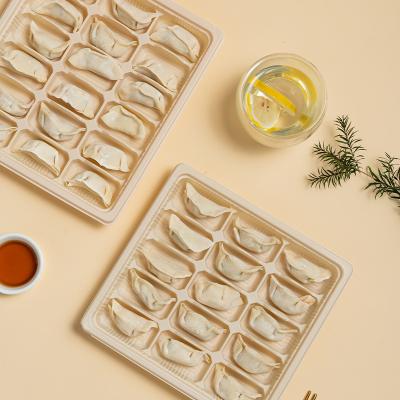 China Cornstarch Tray Eco Microwavable Biodegradable Minimalist Disposable Dumpling Food Dishes for sale