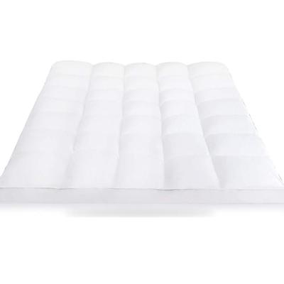 China Amazon Product Waterproof Warm Extra Thick Mattress Protector Mattress Top Pad for sale