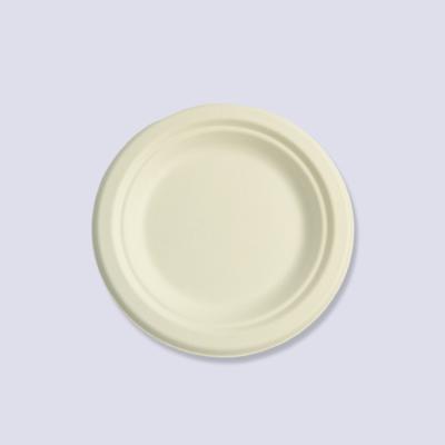 China New Type Biodegradable Eco - Friendly Food Container Salad Paper Plate for sale