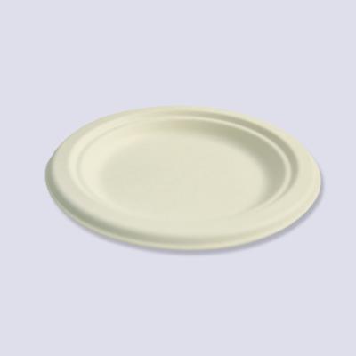 China Customized Size Restaurant Biodegradable Accepting White Paper Disposable Dishes for sale