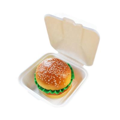 China Biodegradable Disposable Degradable Single Cake Hamburger Rack Pulp Bagasse Lunch Box Take Out Packaging Box for sale