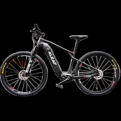 China Carbon Fiber Montebike aus karbon Ebike Frame With Battery Mountain Ebike Drive Pro Ebke Dirt Bike Mid for sale