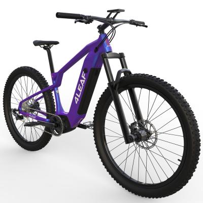 China Carbon Fiber City Electric Bike 29