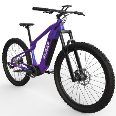 China Carbon Fiber City Electric Bike 29