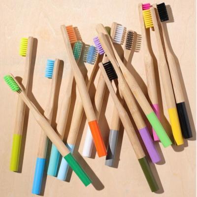 China Hot Selling Biodegradable Cylindrical Round Paint Color Plastic Handle Natural Bamboo Toothbrush for sale