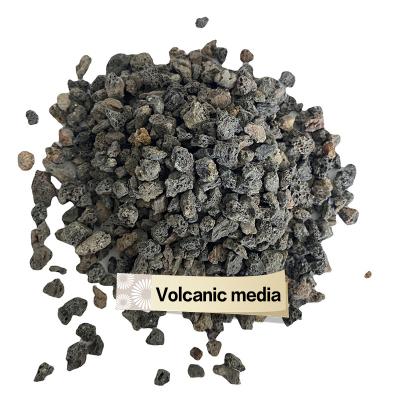 China Other Volcanic Rock Biological Filter Material Water Treatment Filter Media Volcanic Rock Constructed Wetland Filter Material for sale