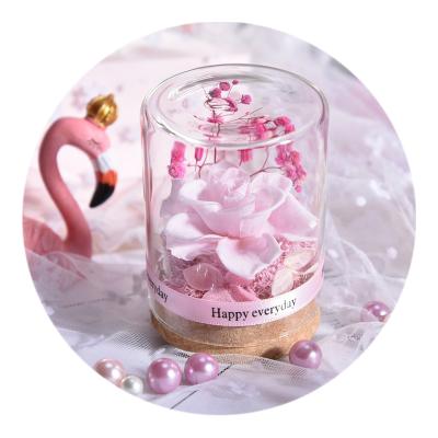 China Beauty Decorations ROSE Christmas Gifts SPACE Rose Real Flower Dried Flower Eternal Rose in Glass Gift for Mom Daughter Birthday Mothers Day Valentines for sale