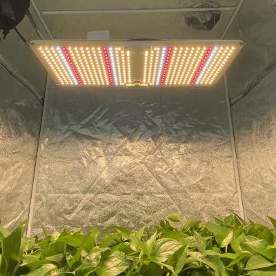 China Full Stage Cretivity ETL Approved 240w 220w Full Spectrum Indoor Plant Veg Flower Lights Tent Grow Vertical Growing LED Grow Light for sale