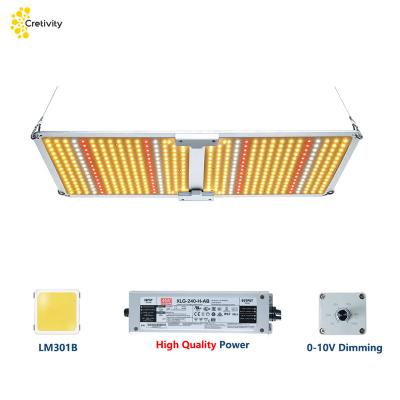 China Full Stage Cretivity ETL Approved Greenhouse Grow Lamp 120W 240W 480W Hydroponic Full Spectrum LED Grow Light For Indoor Plant for sale