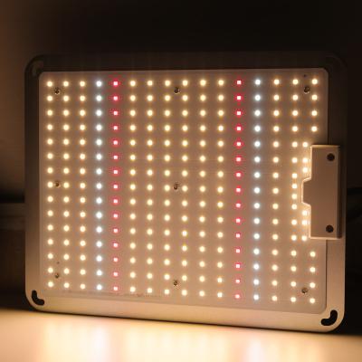 China Seed Starting Cretivity ETL Approved Full Spectrum Greenhouse LM301B LM301H 120W 100W 240W LED Grow Lights Indoor Grow Light For Planting To Grow for sale