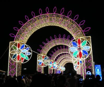 China 2018 New Design Commercial Outdoor Use Holiday Park Arch Decoration LED Pattern Changing Light for sale