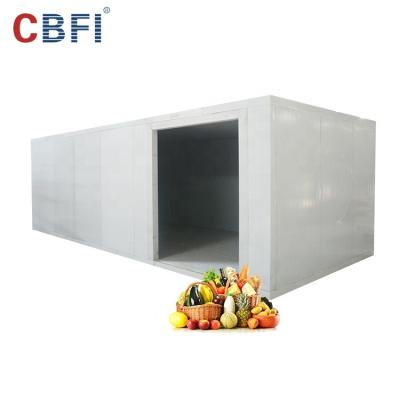 China Container Cold Room Ice Pack Bag Storage Freezer Room for sale