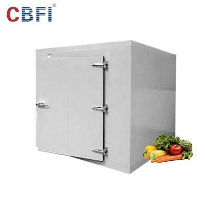 China Container Cold Storage Cold Room Equipment For Storing Foods High Quality Freezer Cold Room To Store Different Goods for sale