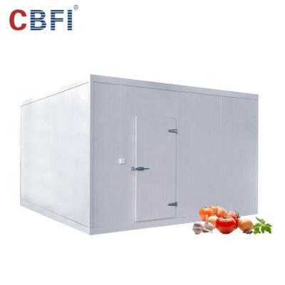 China industrial cheap container cold room ice cream cold room for sale in china for sale