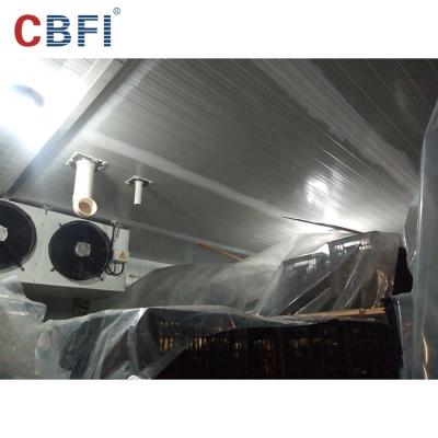 China Container Cold Room For Sale Of Fish Cold Storage Room Size Cold Room for sale