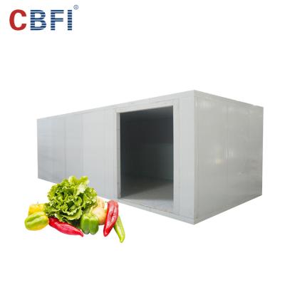 China Hotel Manufacturers Mini Size Potato Storage Equipment Custom Ammonia Cold Room FOB Reference Price: Get Latest Price for sale