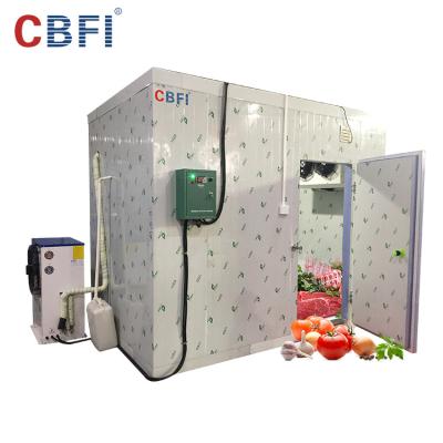 China 500T container fruits and vegetables refrigerated cold room from china manufacturers for sale