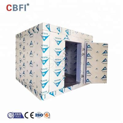 China Fresh Container Lemon Onion Cold Storage Warehouse Frozen Garlic Cold Room for sale