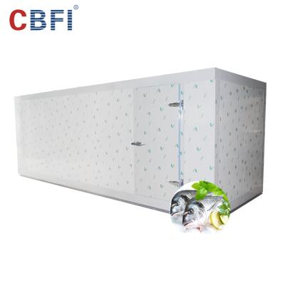 China Hotels restaurant food storage freezer cold room/commercial walk in freezer room/compressor freezer for sale