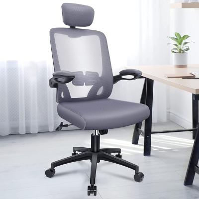 China Free Sample (Height) - Computer Office Chairs Lumbar Support, Mesh High-Back Task Chair with Moving Arms - Ergonomic Office Chair Adjustable Home for sale