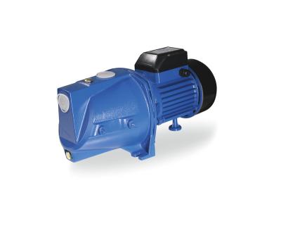 China Economic Manufacture Supply Self Priming Jet Pumps Water Domestic Electric Self Priming Garden Water Jet Pump for sale