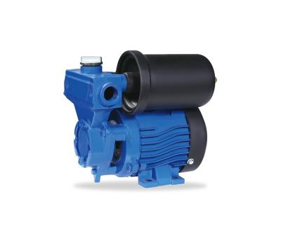 China Single Family Homes WANOU Qs126 Cast Iron Peripheral 0.5hp Water Pump For Pumping Clean Water for sale