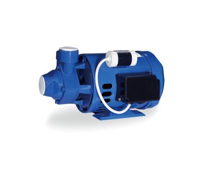 China Family homes clean water pump garden use high performance high efficiency peripheral peripheral pump for sale