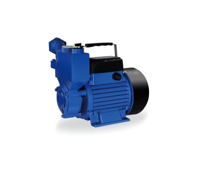 China Food and Beverage Industry Clean Water Pump Intelligent Control Factory Direct Electric Peripheral Pumps for sale