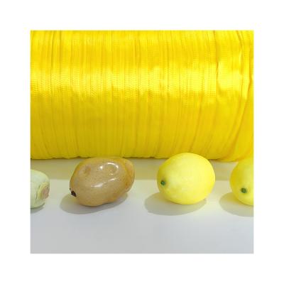 China PE new materials Popular Recommend Bags PE Plastic Net Mesh Bag Roll Packing For Fruits And Vegetables for sale