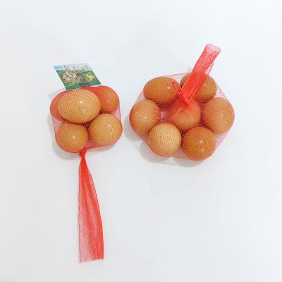 China PE new materials Hot Selling New Product Plastic Packaging Egg Mesh Bag With Egg Logo for sale