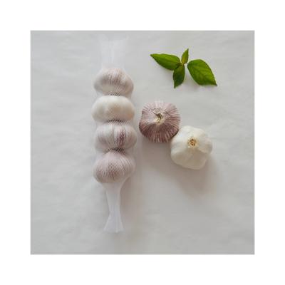 China PE new materials Hot Sale Garlic Protection White Durable PE Plastic Mesh Bags for sale