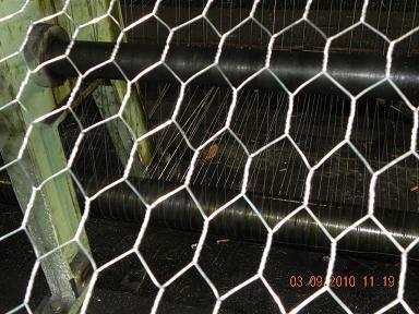 China Galvanized Hexagonal Wire Mesh/Livestock Wire Netting for sale